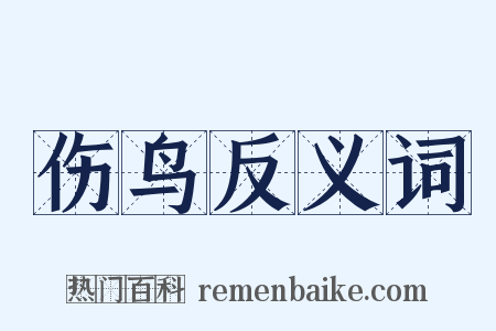 伤鸟反义词是什么意思的图片